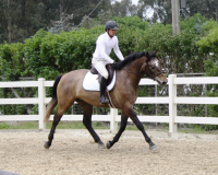 chupito 4 142